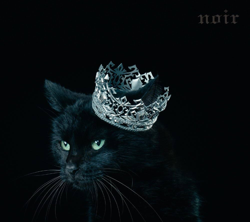 黑猫夜巡·第一夜